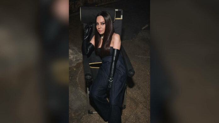 Bakanlar, Ebru Gündeş'i dinlemedi!