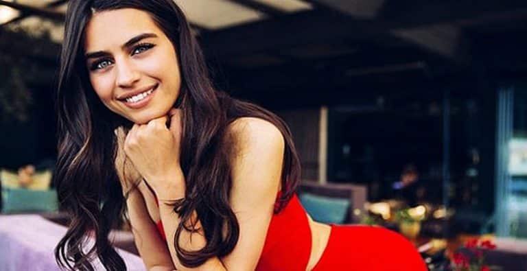 Amine Gülşe Kimdir?