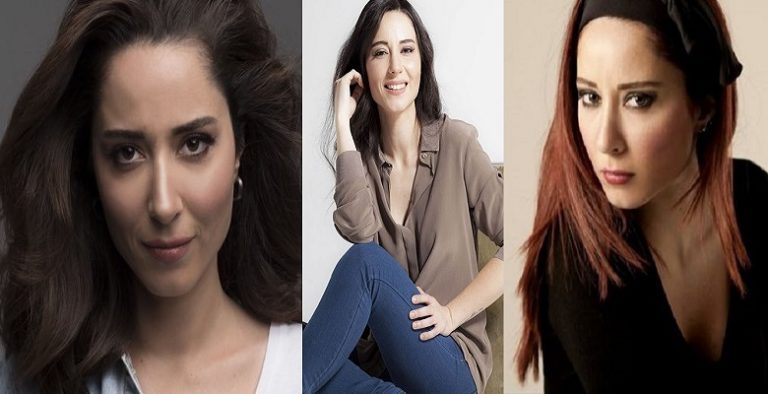 Ayşegül Akdemir Kimdir?