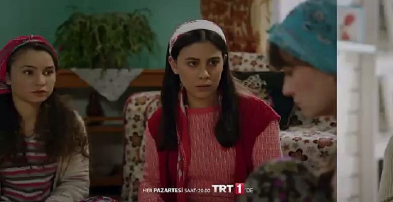 Hivda Zizan Alp kimdir