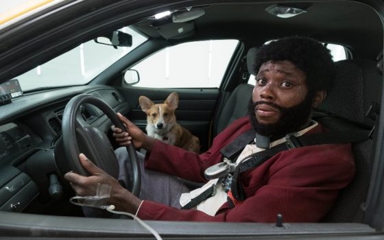 La Casa de Papelcileri Mutlu Edecek Öneriler