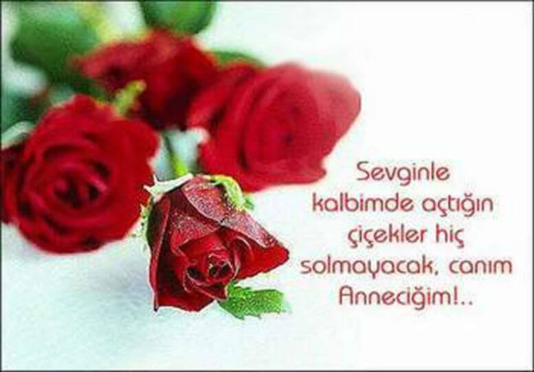 Anneler Günü Resimli Mesajları 2018