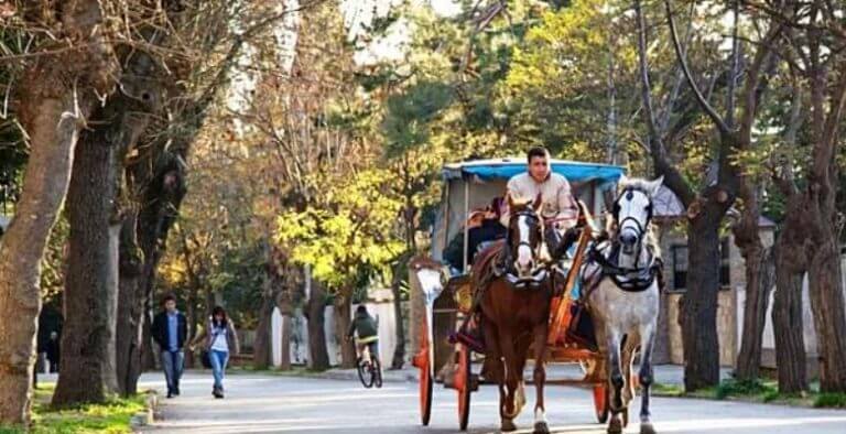 Ünlülerden fayton yasağına destek