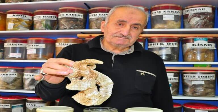 Ekmekle yiyen şifayı buluyor!