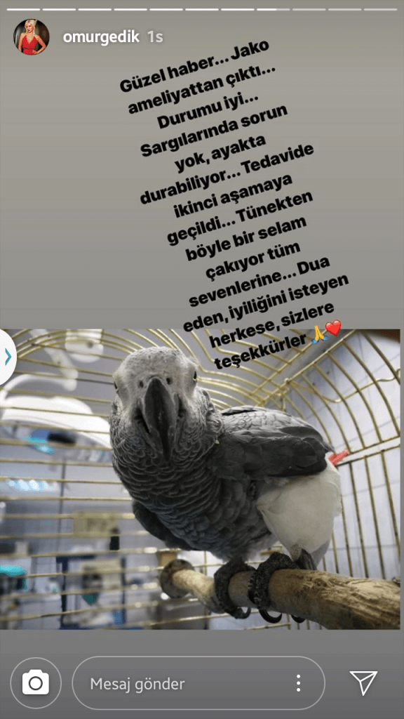 Ömür Gedik'in Papağan Jako'yla İlgili Haberleri Var!