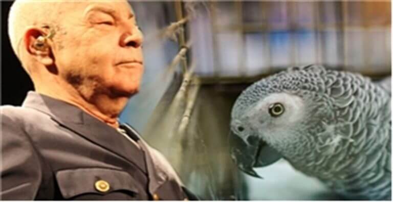 Mazhar Alanson:Papağan öldü, 1 haftadır konuşuluyor!