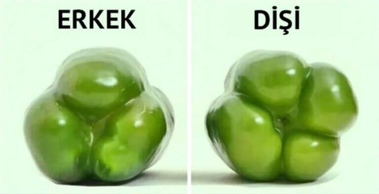 Evet, tüm kadınlar buraya! Erkek mi? Dişi mi?