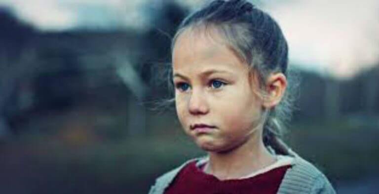 Sibel Melek Arat Kimdir?