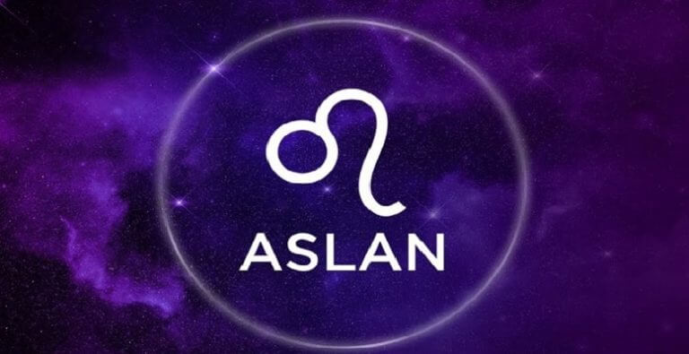 Aslan burcu 2019 yılı yorumu