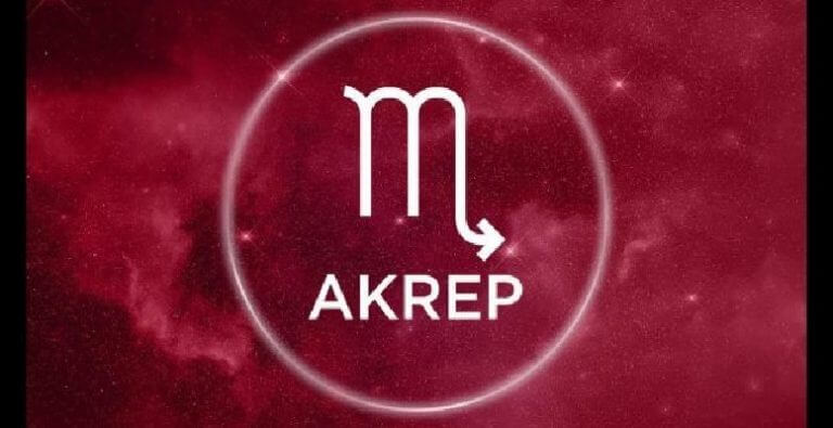 Akrep burcu 2019 yılı yorumu