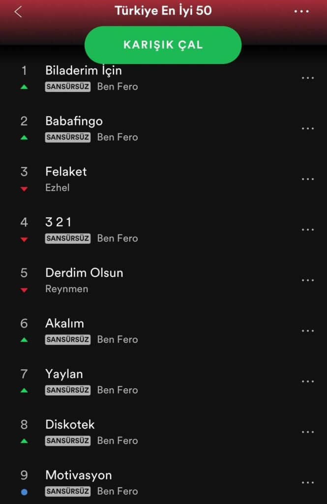 Ben Fero Spotify Top 50