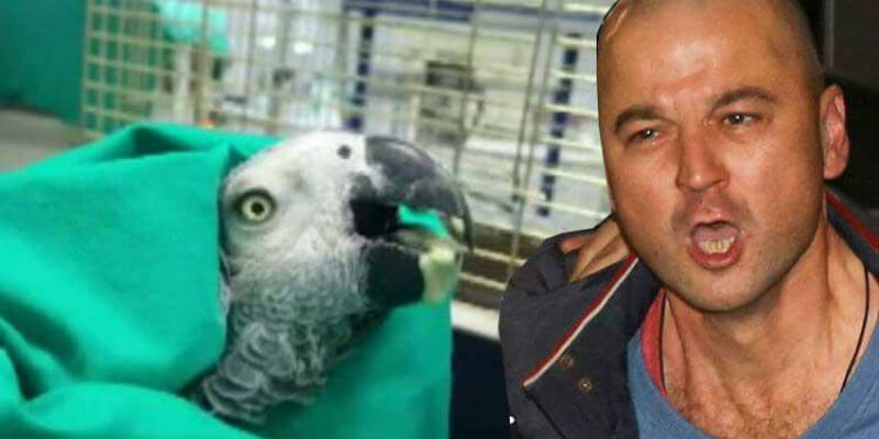 Murat' Özdemir'den Özür Videosu