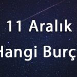11-aralik-hangi-burc