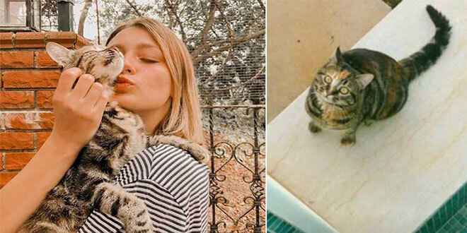 Gizem Karaca Kedisini Kaybetti