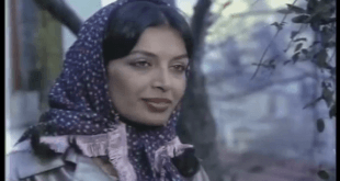 Zerrin Egeliler Kimdir?