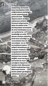 seren serengil şiddet