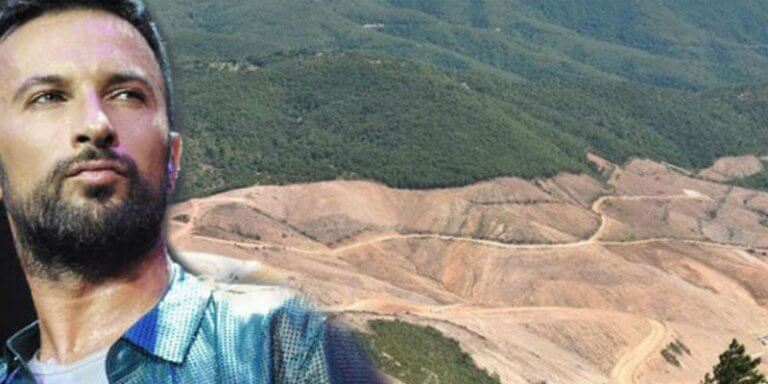 Tarkan Kaz Dağlarında Kesilen Ağaçlar İçin İsyan Etti!