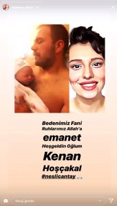 tolga karel neslican tay