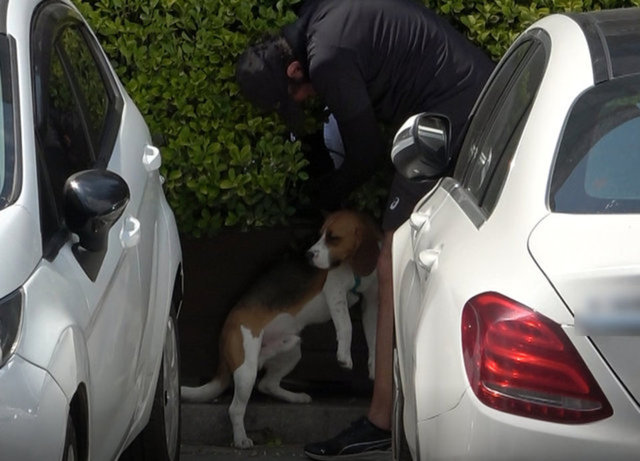 Kerem Alışık ve Jüpiter