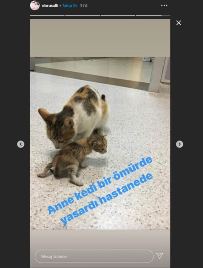 Ebru Şallı'nın Acı Paylaşımı