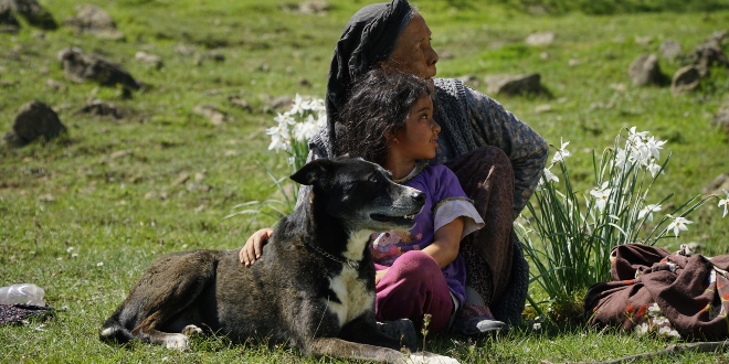 Hikayesi kadar kokusu da büyüleyecek Koku filmi motor dedi
