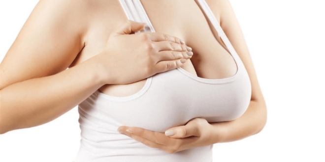 Meme Estetiği Öncesi ve Sonrası Nelerle Karşılaşılır?