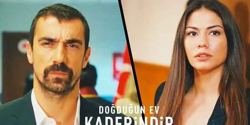 Zeynep Mehdi'nin Kararına Şaşırıyor