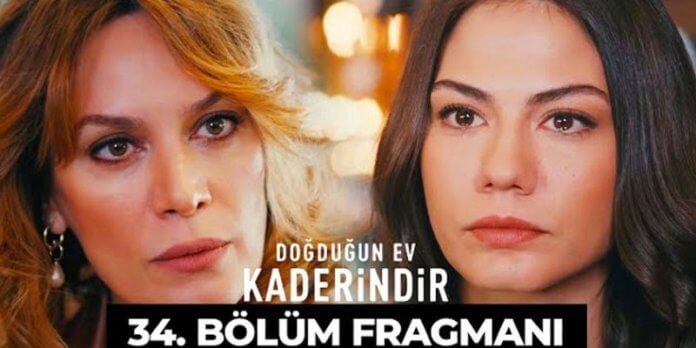 Zeynep Özlem'in Sorusuna Ne Yanıt Verecek