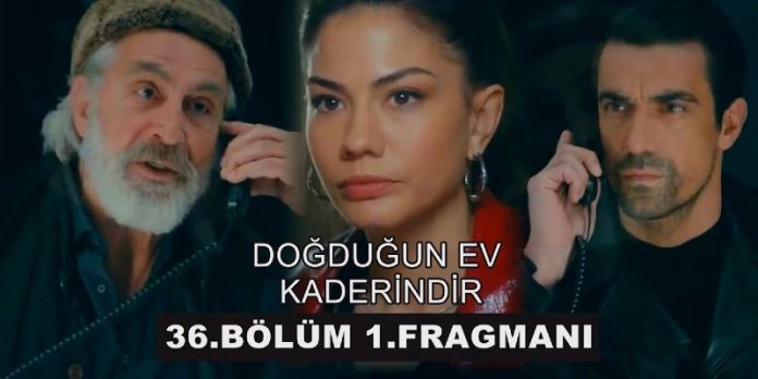 Mehdi Nasıl Bir Pisliğe Bulaştığını Anlıyor