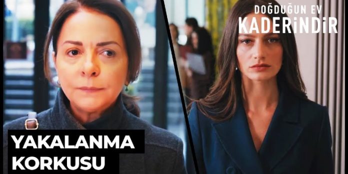 Nesrin Sakine'yle Karşılaşıyor Mu