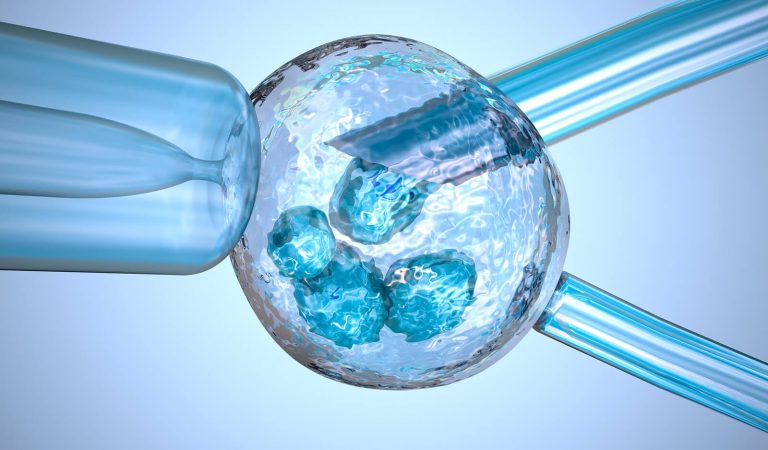 Embriyo Donasyonu Yönteminde Neden Başvurulur?