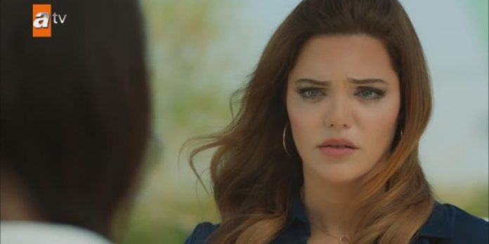 Züleyha Şimdi Ne Yapacak