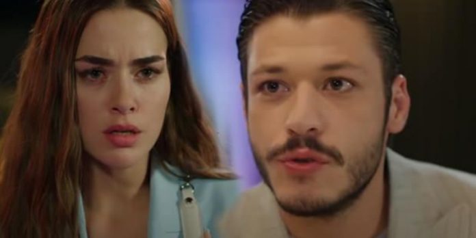 Cem Leyla'yı Yanlış Anlıyor