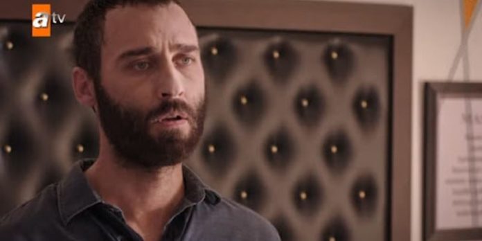 Şahin İşine Geri Dönüyor