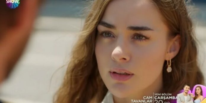 Leyla'nın Kafası İyice Karışıyor