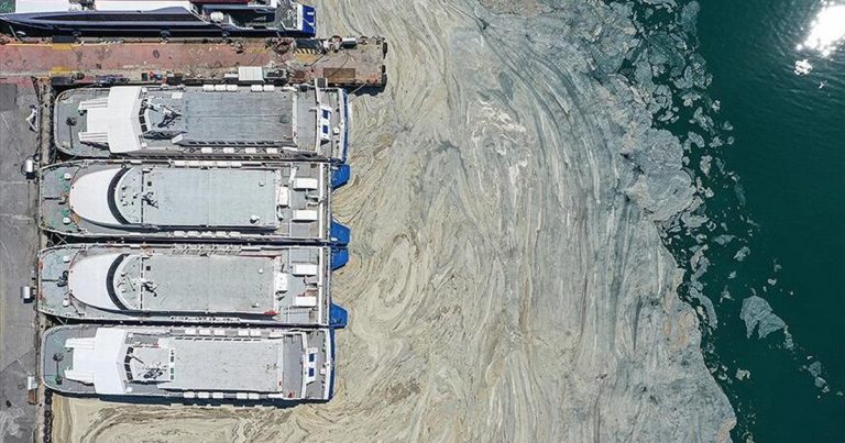 Marmara’daki Deniz Kirliliği ve Müsilaj