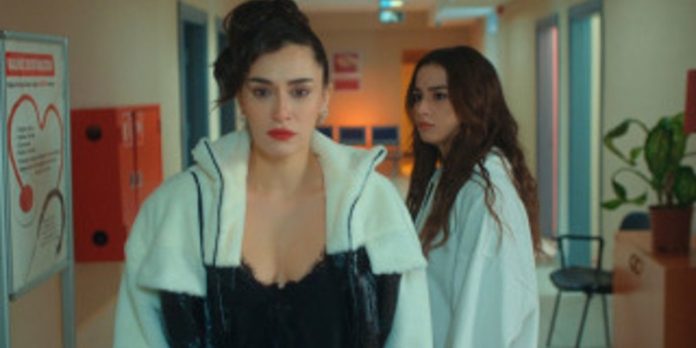 Handan Netlet'le Yüzleşiyor