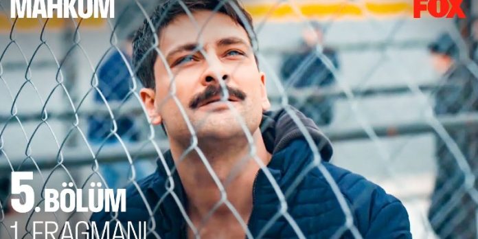 Fırat Kızının Yaşadığını Hissediyor