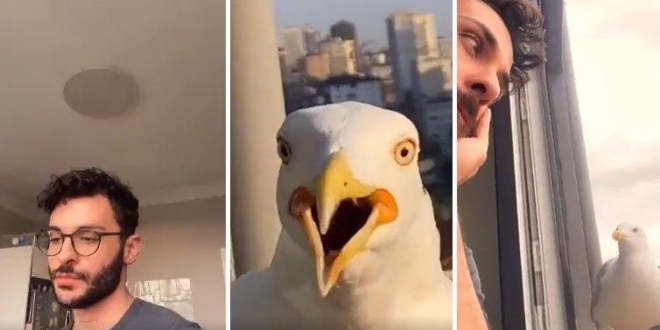 Martı Videolarıyla Viral Olan Ogün Alibaş Röportaj Verdi