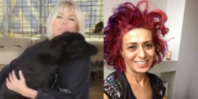 Yıldız Tilbe' nin 'Sokak Köpeği' Paylaşımına Ajda Pekkan' dan Tokat Gibi Cevap...