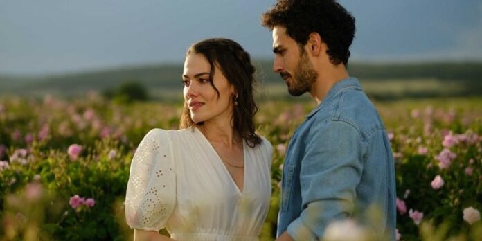 Toprak Gül'ün Gitmesini İstemiyor