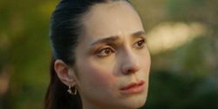 Helin Ahmet'i De Alıp Kaçıyor