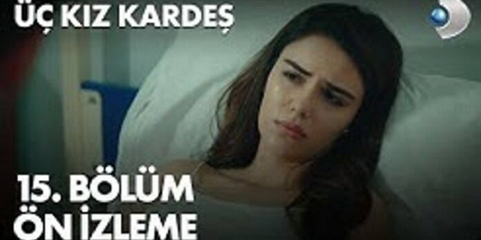 Somer Türkan'a Moral Veriyor