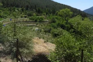 Özgü Namal 'ın Köy Evi