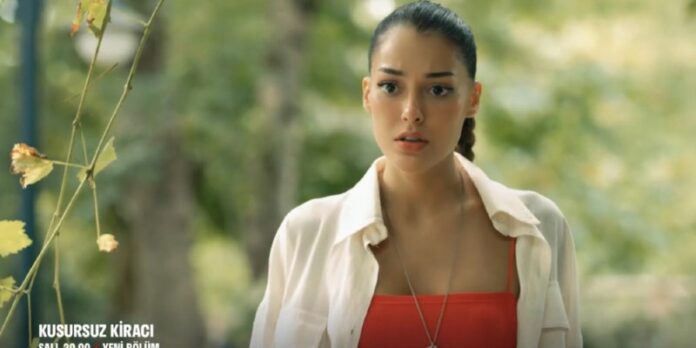 Mona Cesedin Yerini Bulmaya Çalışıyor