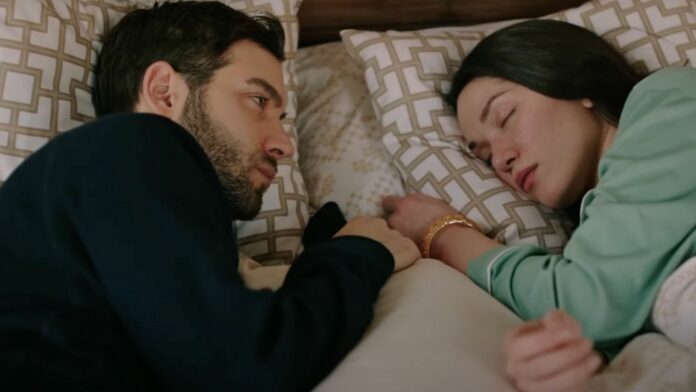 hazal subaşı sahipsizler