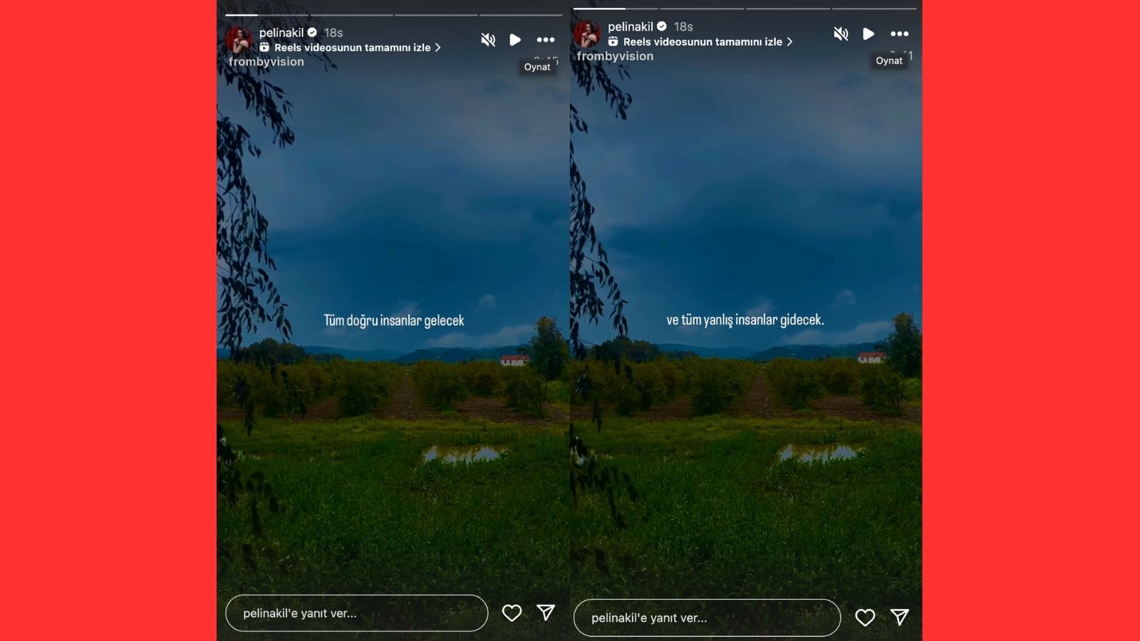 pelin akil - magazin haberleri