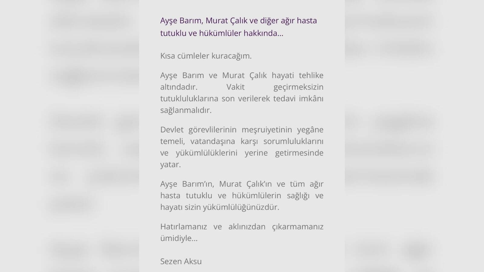 Sezen Aksu Hükümete Seslendi