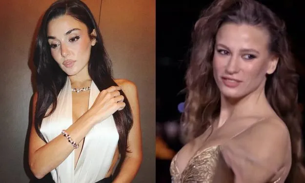 Marka Elçisi Nedir