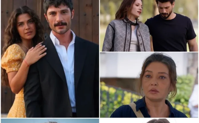 NOW'ın Yeni Dizileri İçin Tarihler Belli Oldu!